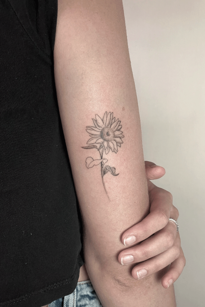 Fiore Fine Line - Portfolio - Arte Incisa